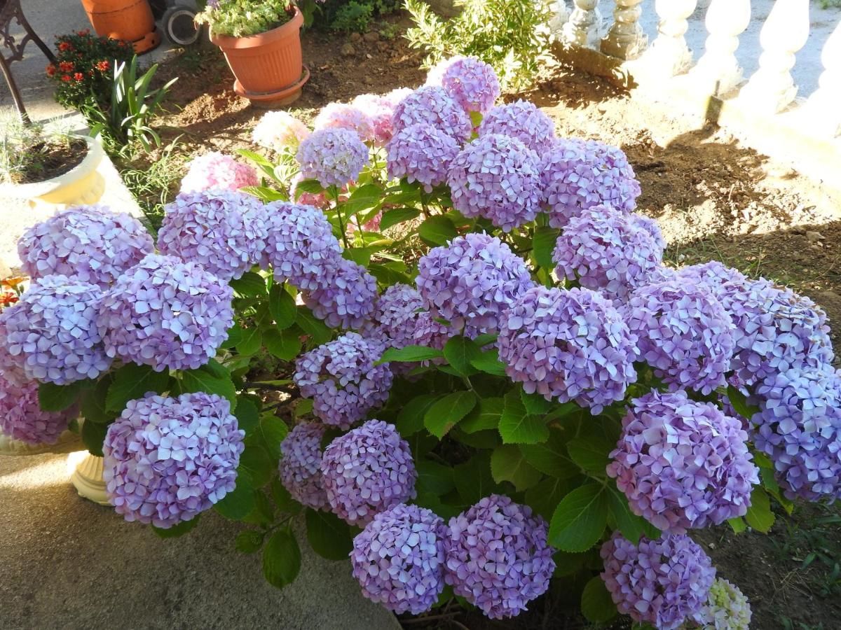 Апартаменты Apartments Basha 1 - Long Beach Улцинь-47